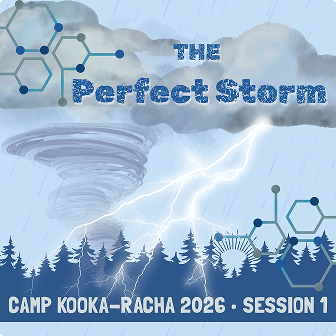 The Perfect Storm poster