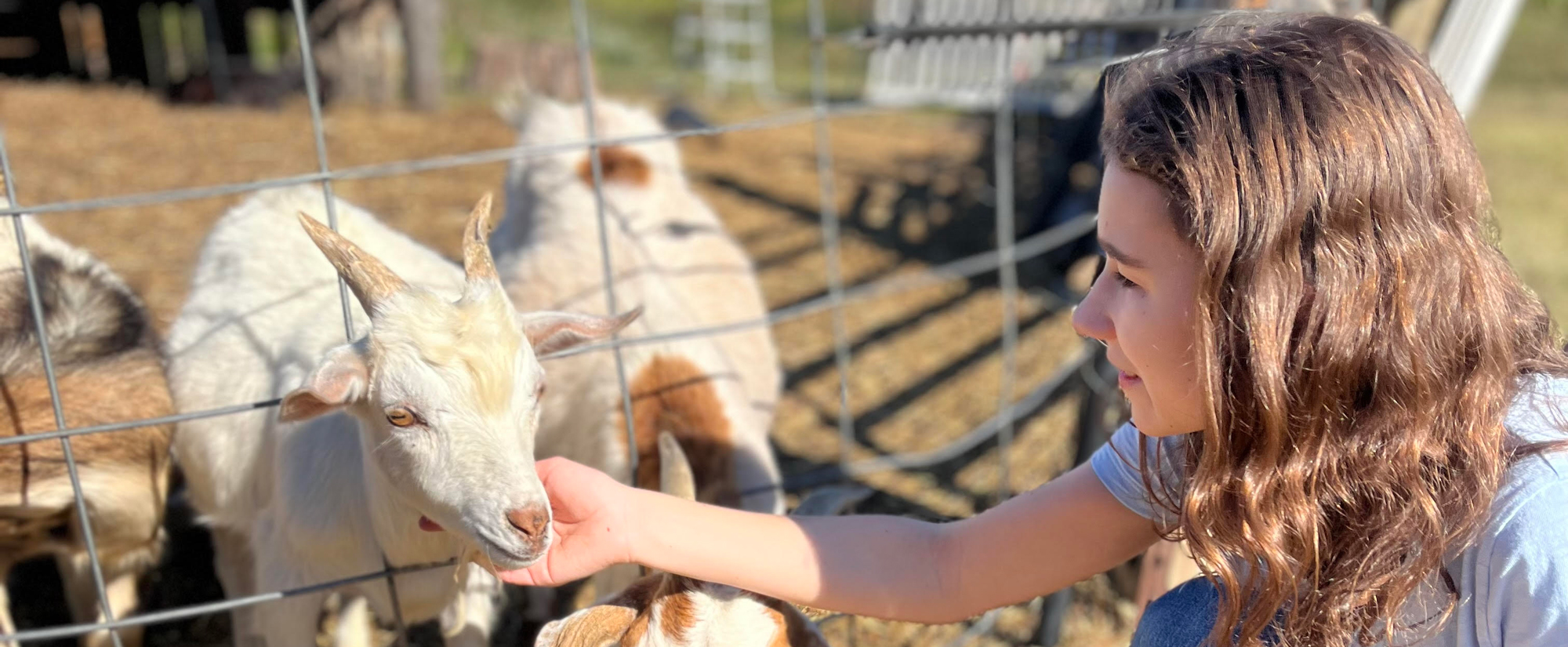 student petting animals