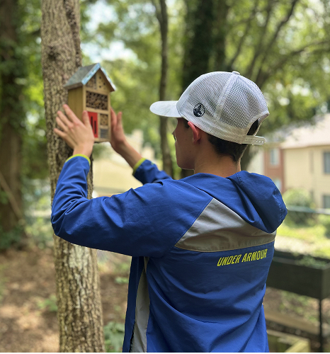 student putting up bird house